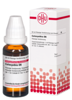 COLOCYNTHIS D 6 Dilution